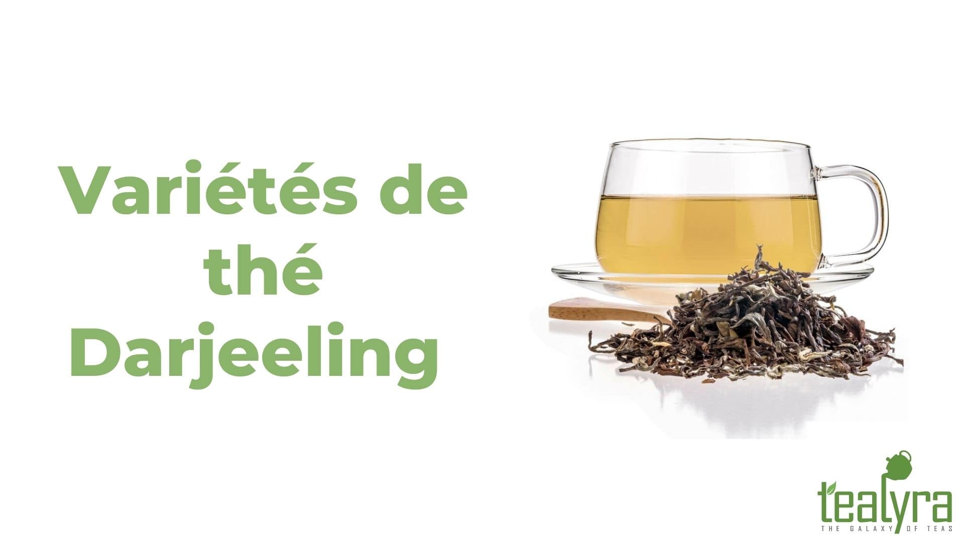 Variétés-de-thé-Darjeeling