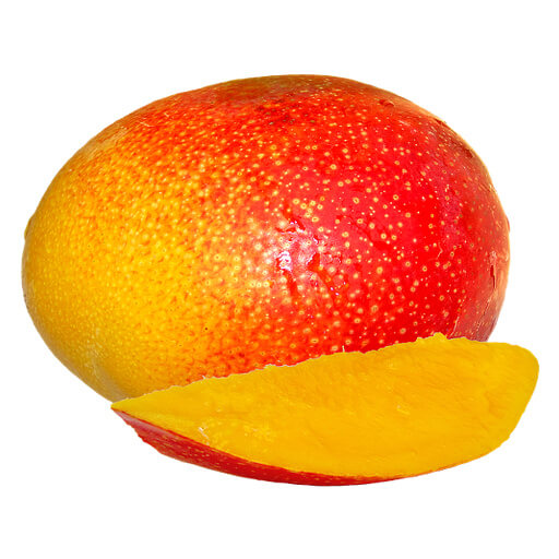 Mangue