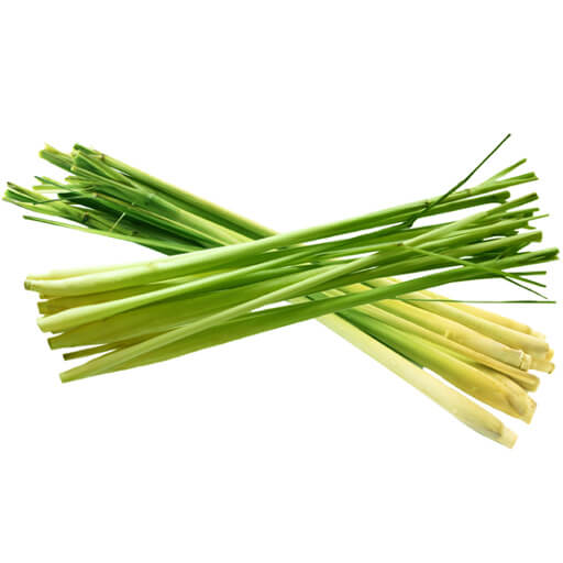 Citronnelle