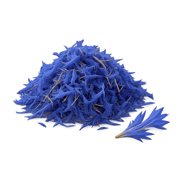 Centaurée bleuet