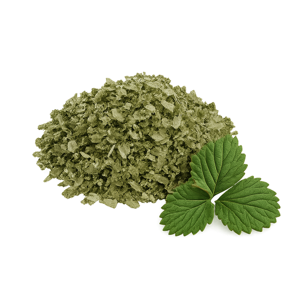 Feuilles de fraisier