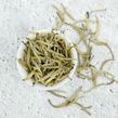 Yunnan Baihao Yinzhen « Aiguille d'argent »