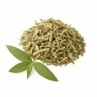 Verveine