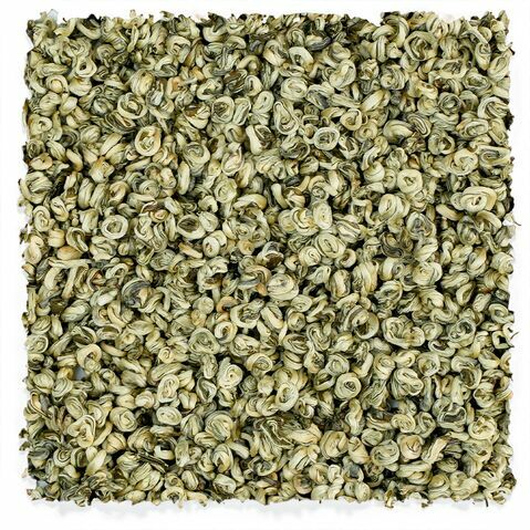 Escargot Jinggu Baihao