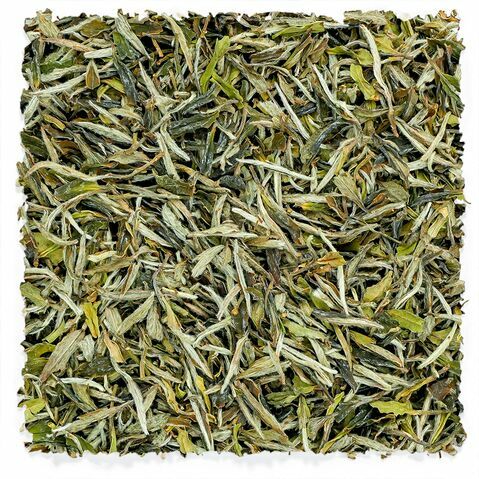 Pivoine blanche Tieguanyin Baicha