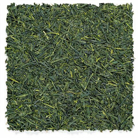 Uji Gyokuro | Réserve de première récolte
