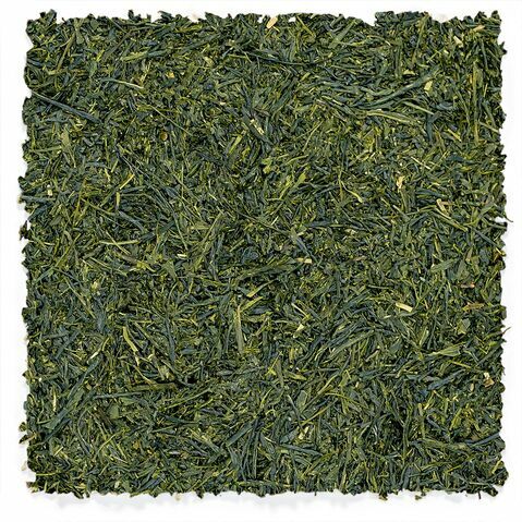 Yame Sencha | Réserve de Fukuoka