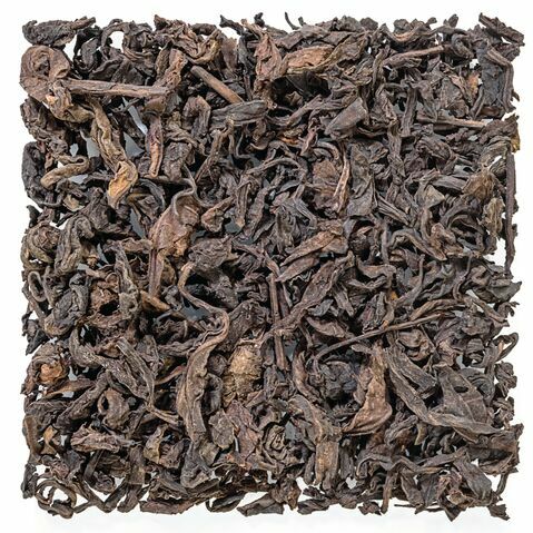 Pu'erh Rare d'Arbor Sauvage de 1990