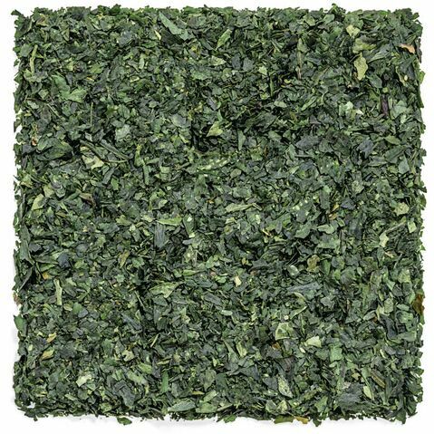 Tencha Mimoto Japonais