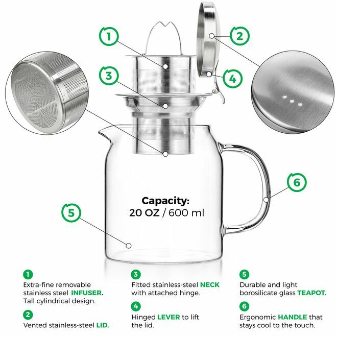 Théière en verre Pyxis 20Oz