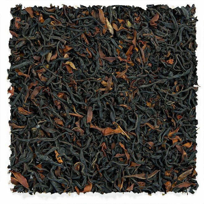 Arbre ancien sauvage Noir