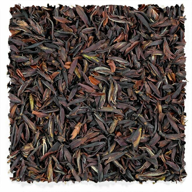 First Harvest Wild Red Buds (bourgeons rouges sauvages de la première récolte)