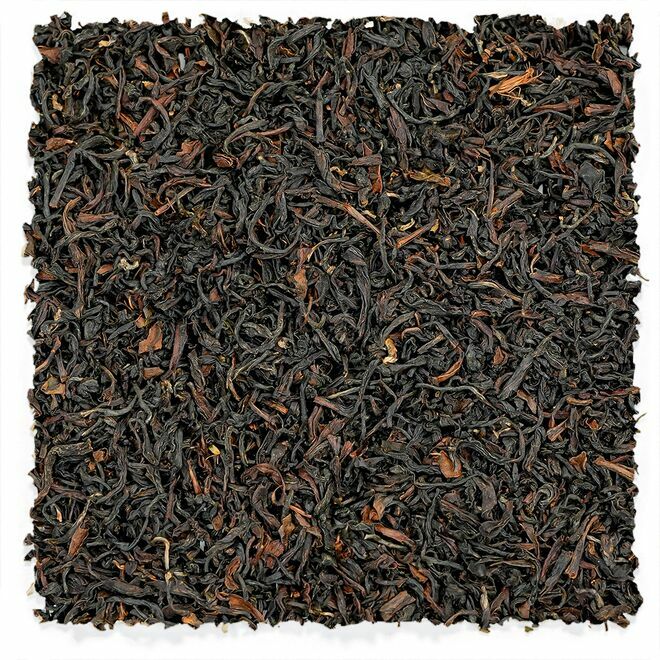 Source de Ringtong Darjeeling