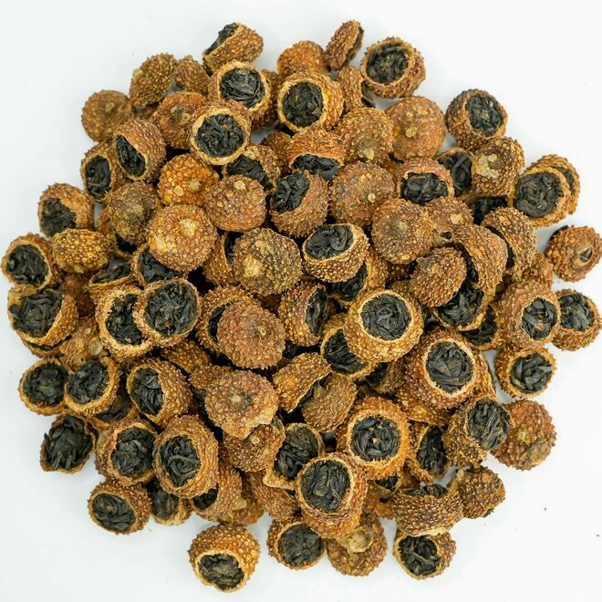 Rosa Roxburghii Noir