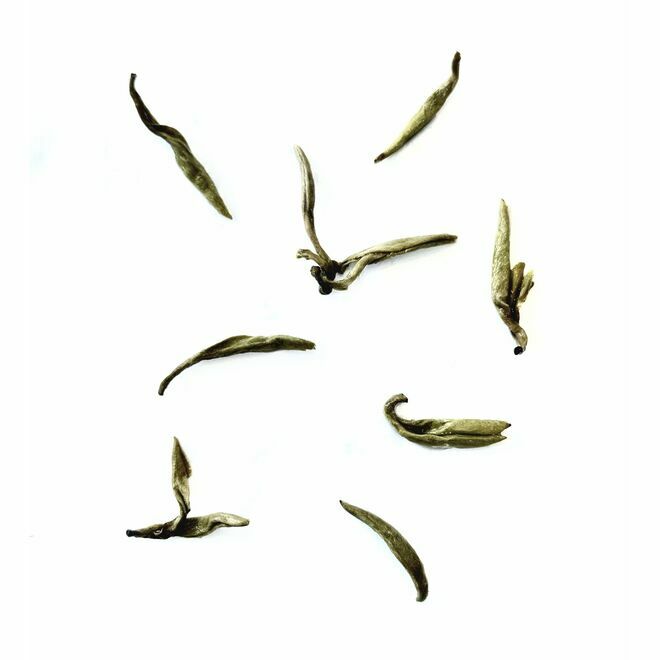 Prix d'or Jasmine Linglong Pearl King