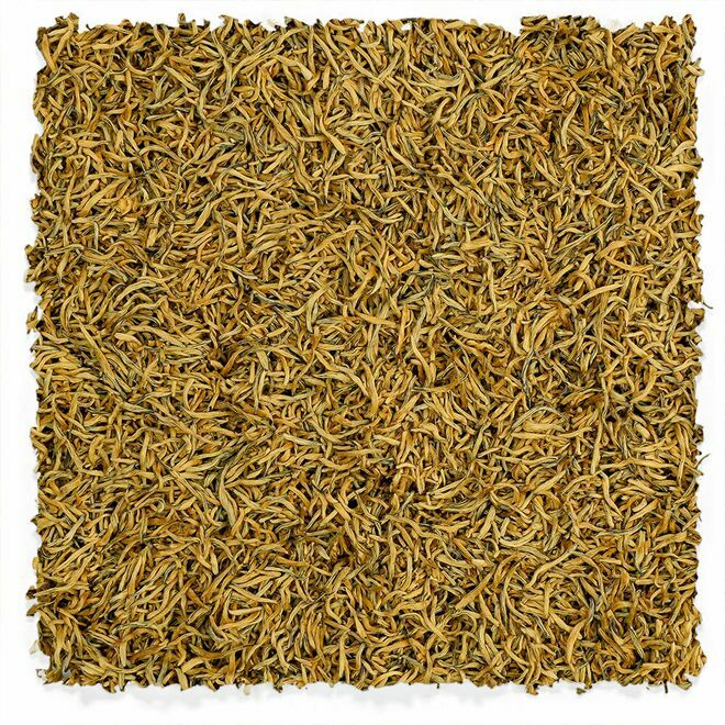 Golden Monkey du Vietnam