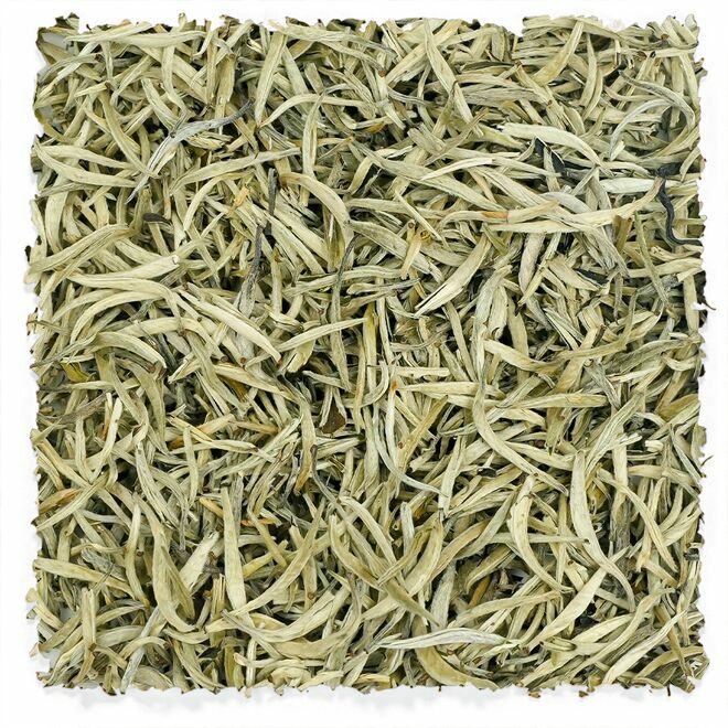 Yunnan Baihao Yinzhen « Aiguille d'argent »