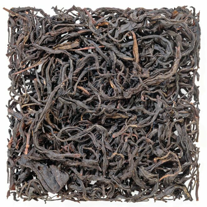 Assam " Black Beauty " #8