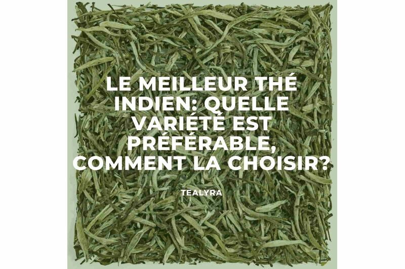 Le meilleur thé indien:quelle variété est préférable, comment la choisir?