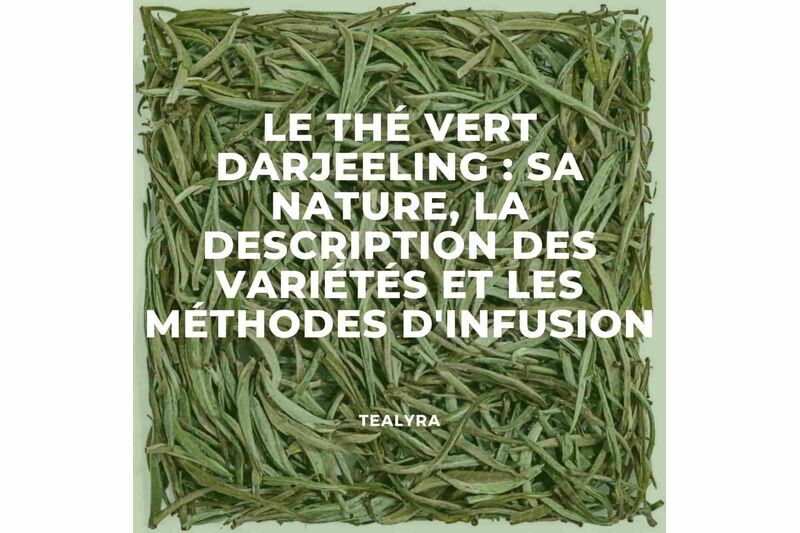 Le thé vert Darjeeling: sa nature, la description des variétés et les méthodes d'infusion