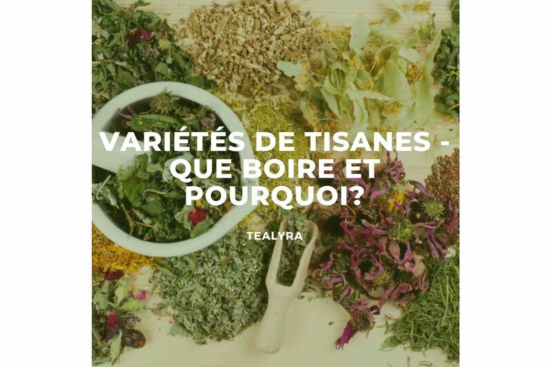 Variétés de tisanes - que boire et pourquoi?